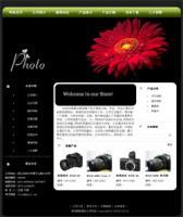 專業(yè)南澳網(wǎng)站建設(shè)、設(shè)計與制作，一站式商務(wù)服務(wù)解決方案